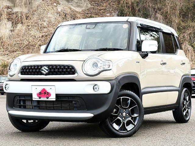 SUZUKI XBEE
