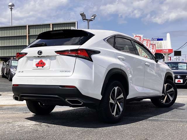 LEXUS NX
