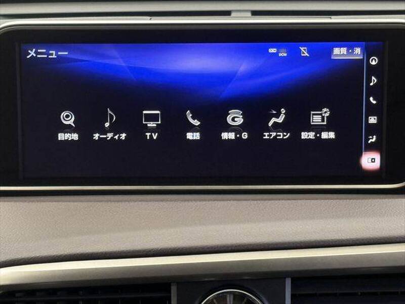 LEXUS RX