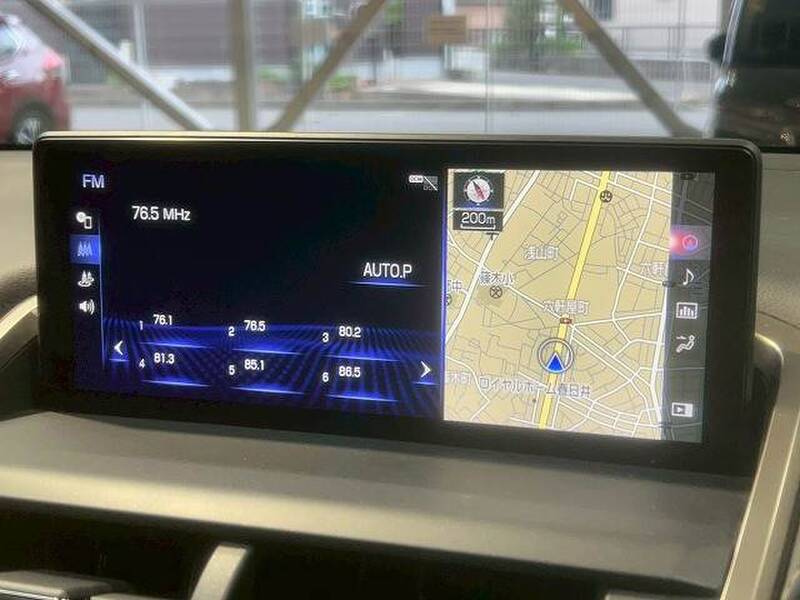 LEXUS NX