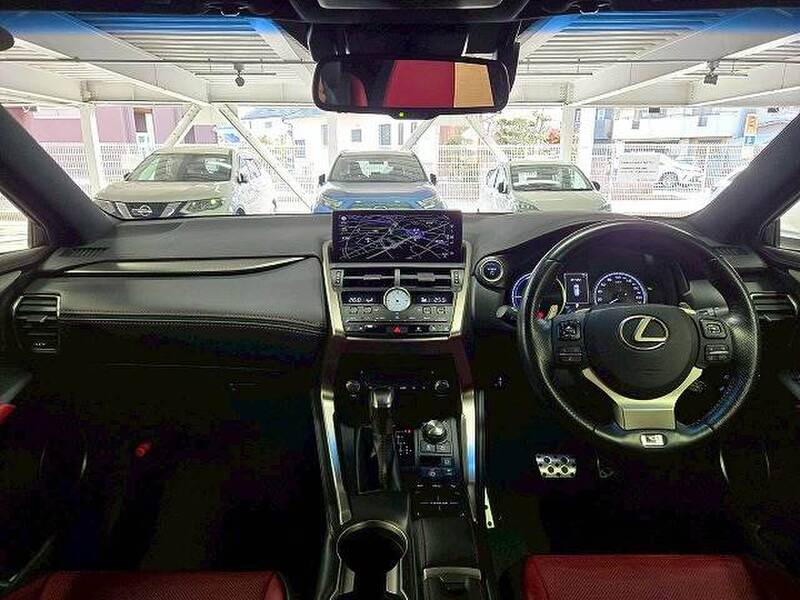 LEXUS NX