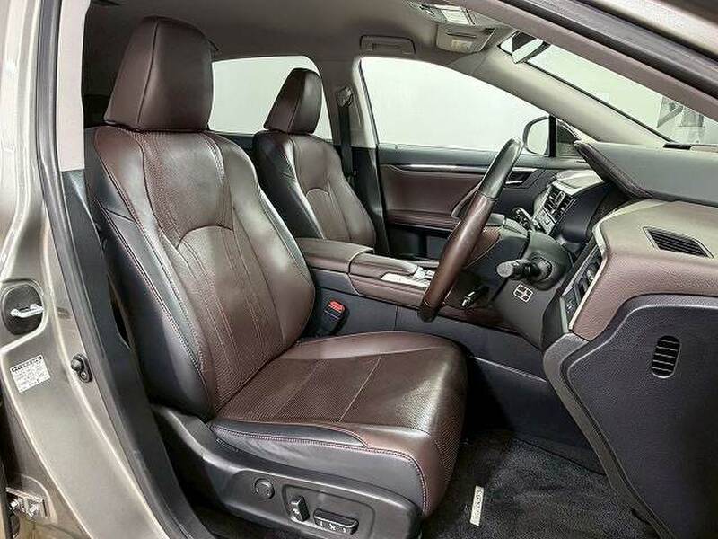 LEXUS RX